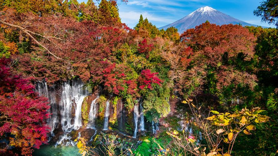富士山でつながる！紅葉を楽しむ富士トレッキングツアー
